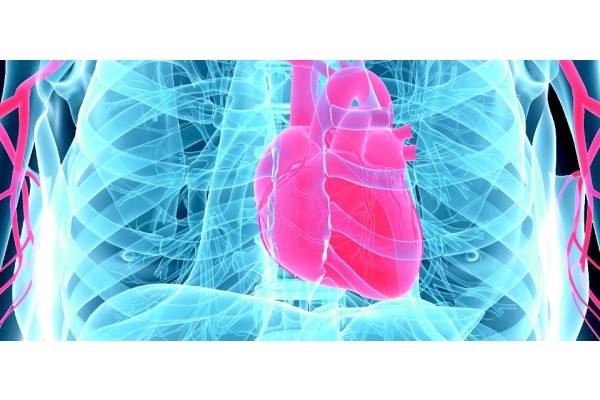 GENÇLER KALP KRİZİ RİSKİYLE YAŞIYOR