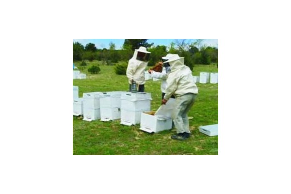 ARICILAR 18 MART’TA TOPLANIYOR