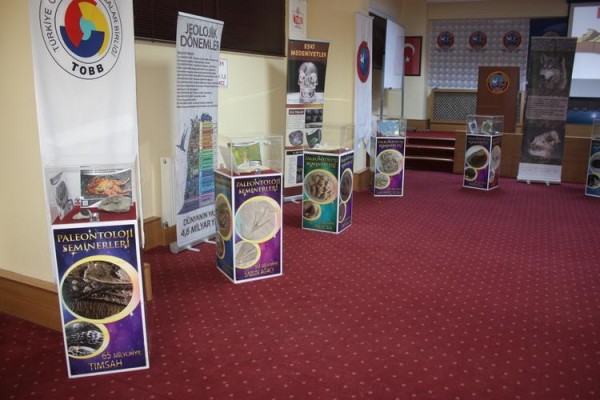 MİLYON YILLIK FOSİLLER SERGİLENİYOR