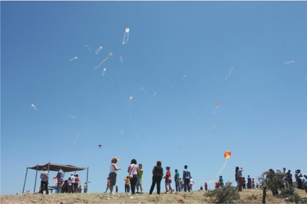 UÇURTMALAR ÖZGÜRCE UÇTU