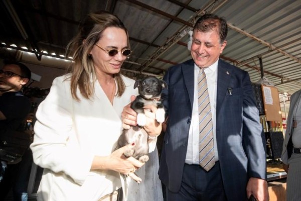 Sokak hayvanları için önemli adım