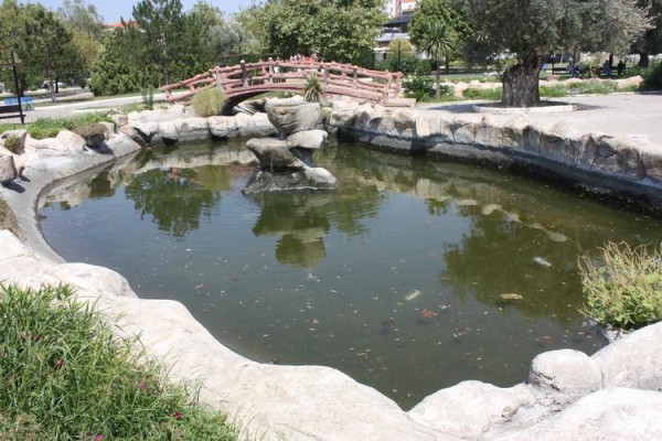 SÜS HAVUZLARI PİSLİK İÇİNDE