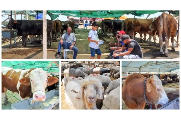 FİYATLAR DÜŞÜK AMA SATIŞ AZ