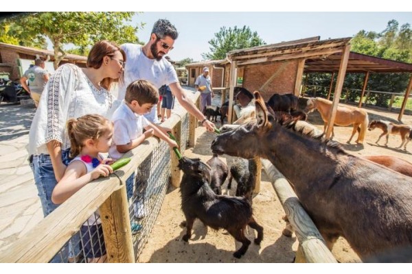 DOĞAL YAŞAM “BAYRAM” ETTİ