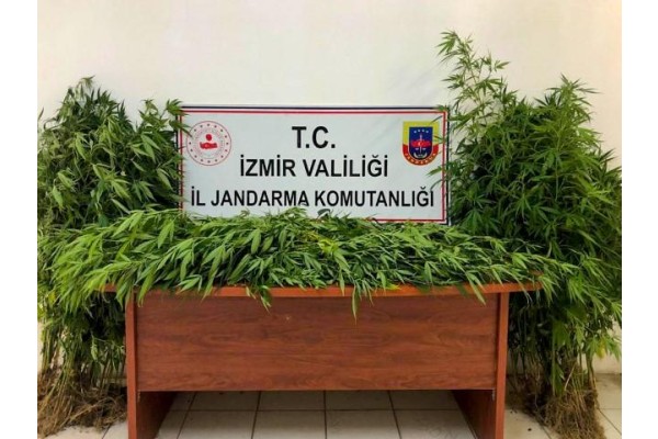 Uyuşturucu operasyonlarında 6 şüpheli tutuklandı