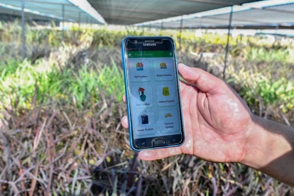 Çiftçiler ani iklim olaylarına karşı uyarılacak