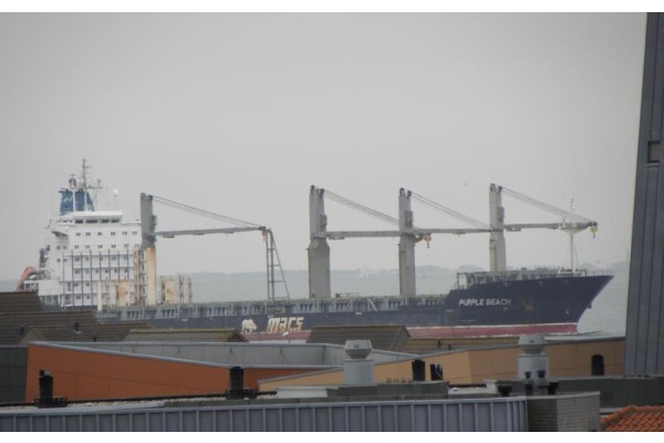 SÖKÜM İÇİN ALİAĞA'YA GELİYOR