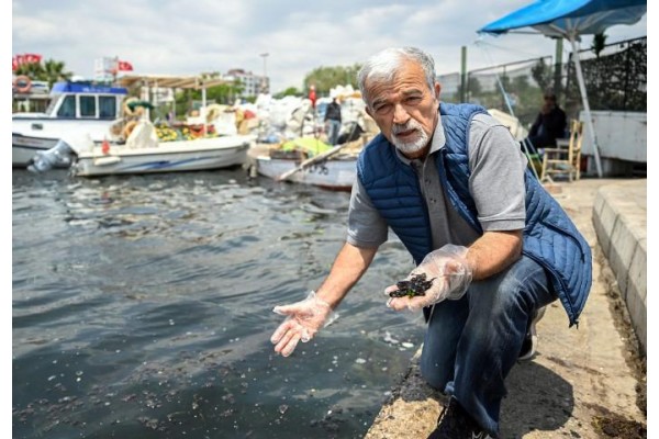 Körfez için müsilaj uyarısı