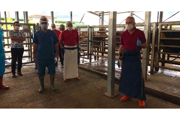 KURBAN KESİM ELEMANLIĞI KURSU AÇILIYOR