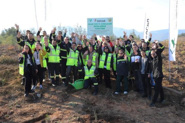 Geri dönüştürülen kâğıtlardan 10 bin fidanlık orman