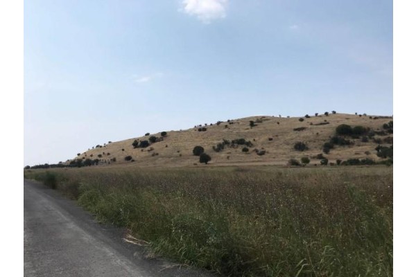 MYRİNA VE GRYNEİON’DA ARAŞTIRMALAR SÜRÜYOR