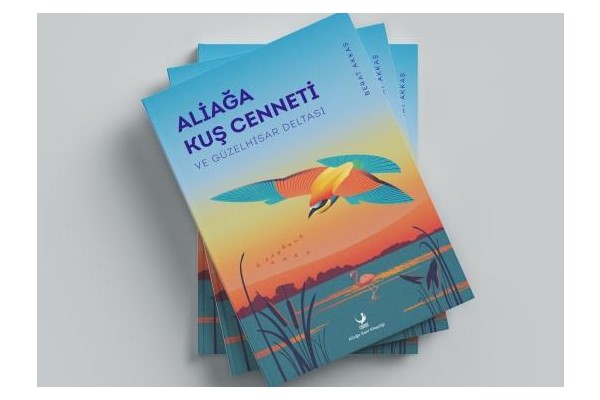 KİTAPSEVERLERE YENİ YIL HEDİYESİ