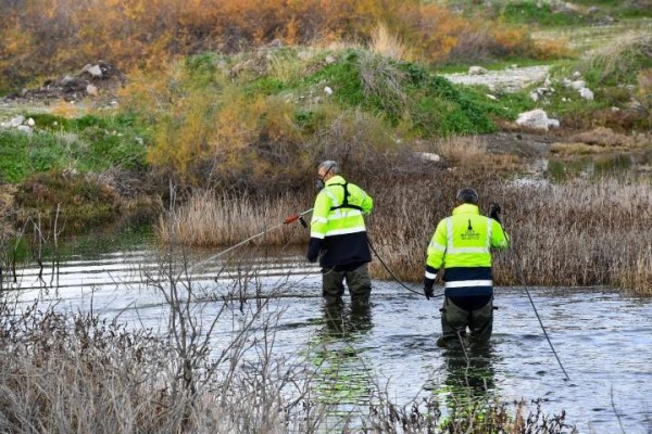 Haşereyle mücadele sürüyor