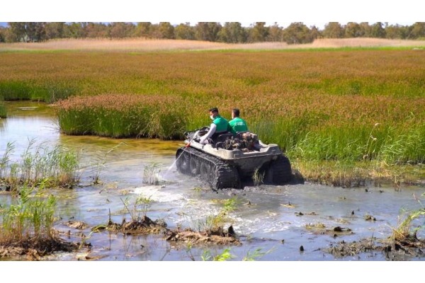 Haşereyle mücadele çalışmaları hızlandırıldı