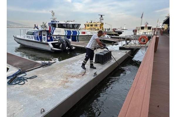 Körfezde balık ölümleri sürüyor