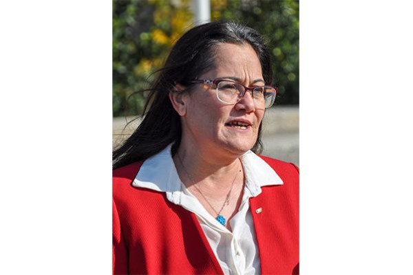 “İHTİYAÇ HALİNDE KAPLAN’IN YANINDA OLACAĞIZ”