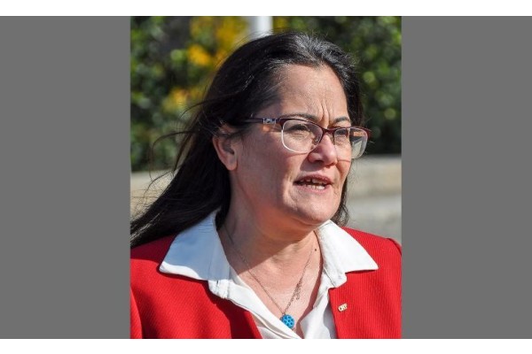 OĞUZHAN: “ÇOKLU BARO MANTIĞA VE ANAYASAMIZA AYKIRI”