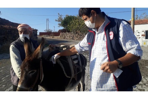 TEK TIRNAKLI HAYVANLAR KAYIT ALTINA ALINIYOR