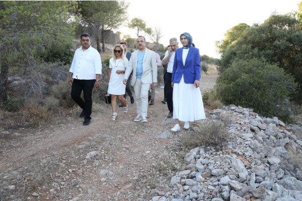 Sürekli: “Ağaçlar tüterken algıya başlıyorlar”