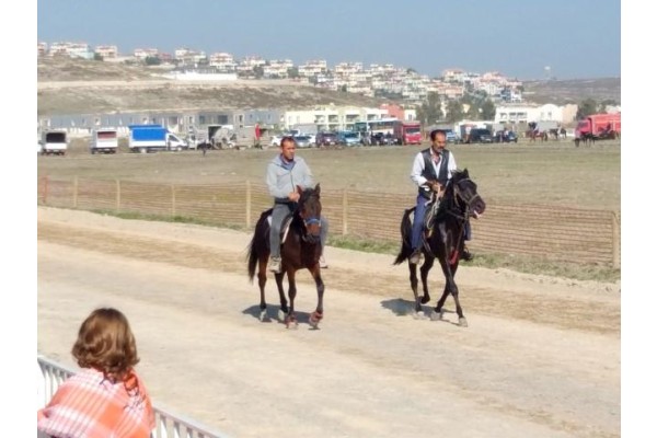 Menemen’de Rahvan At Yarışları