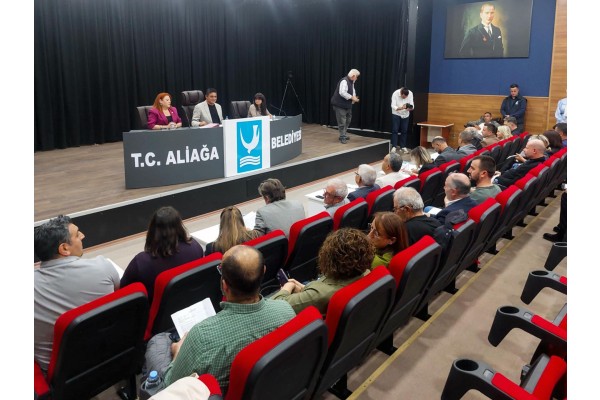 Mecliste gündem elektrik altyapısı, istifalar ve çevre